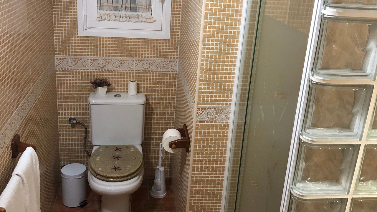 Photo of Bathroom in Valle de San Lorenzo