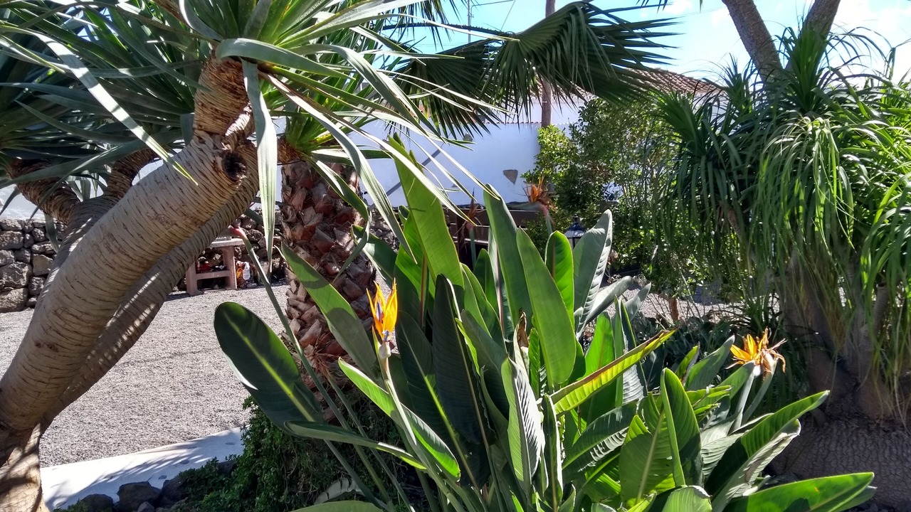 Photo of Outdoor in El Paso