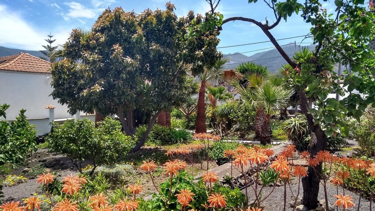 Photo of Outdoor in El Paso
