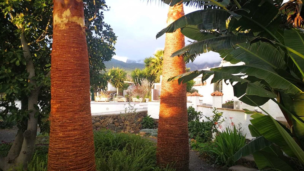 Photo of Outdoor in El Paso