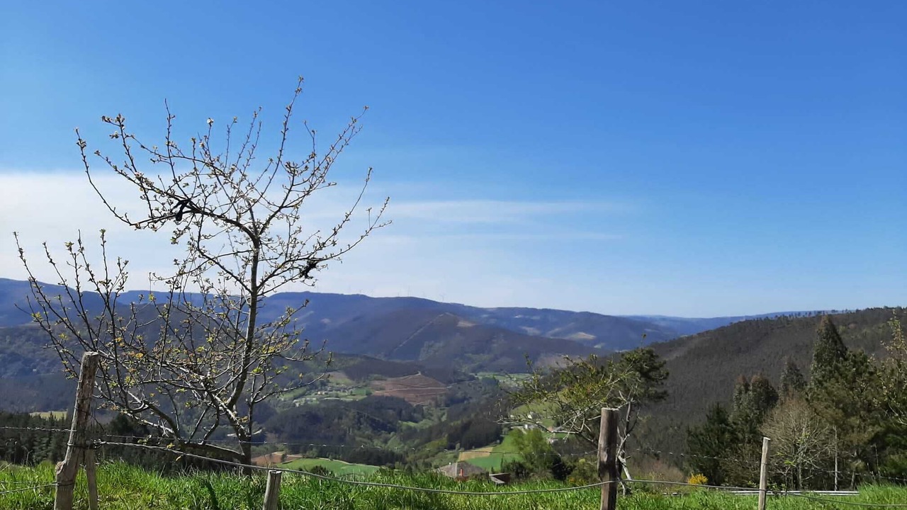 Photo of Outdoor in Aldeguer