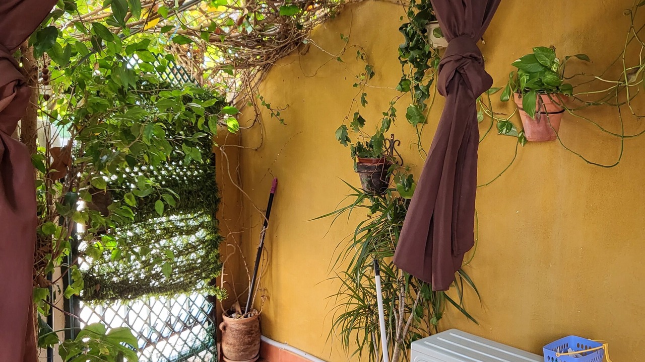 Photo of Outdoor in Las Herrerias