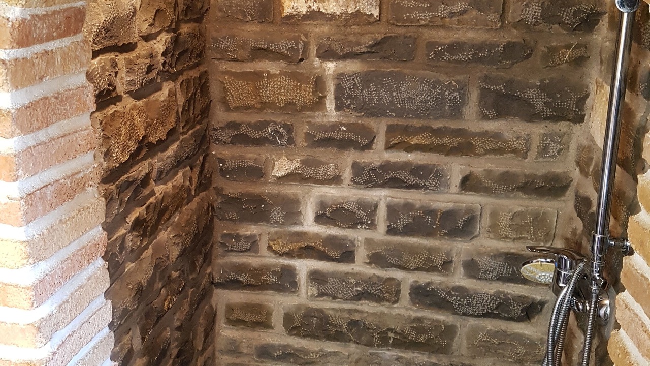 Photo of Bathroom in Guaso