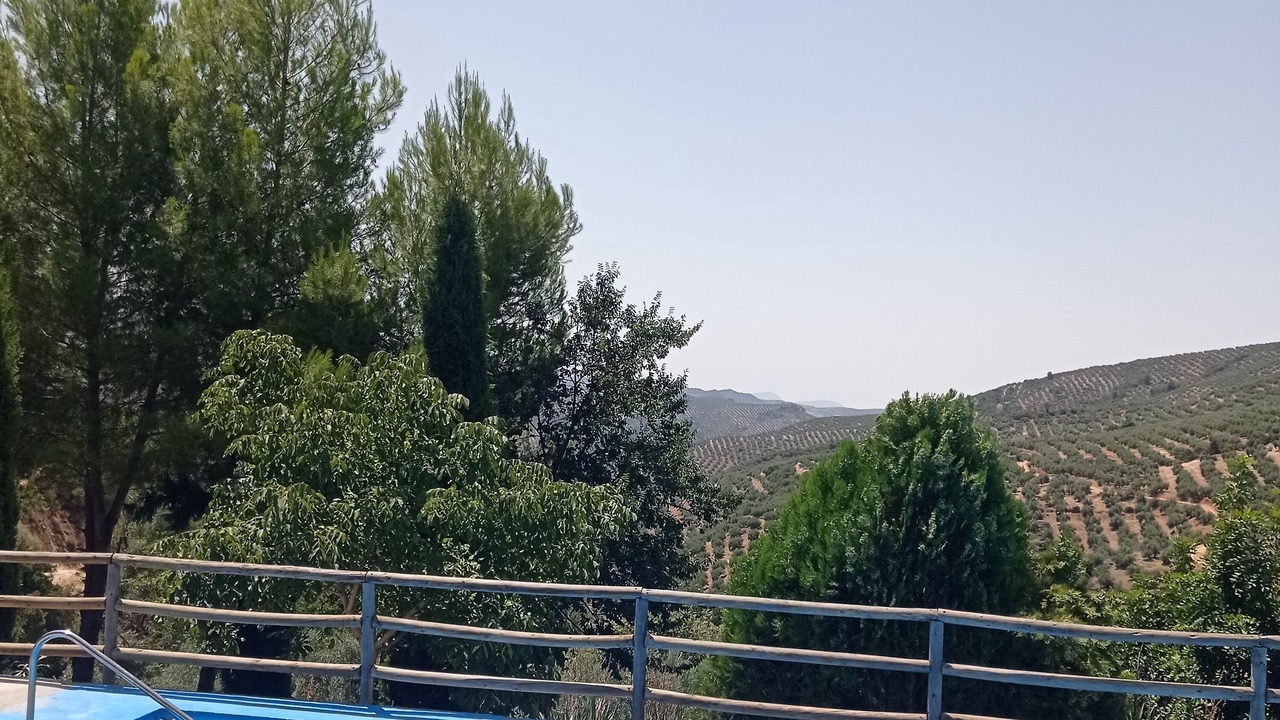 Photo of Outdoor in Villanueva del Arzobispo