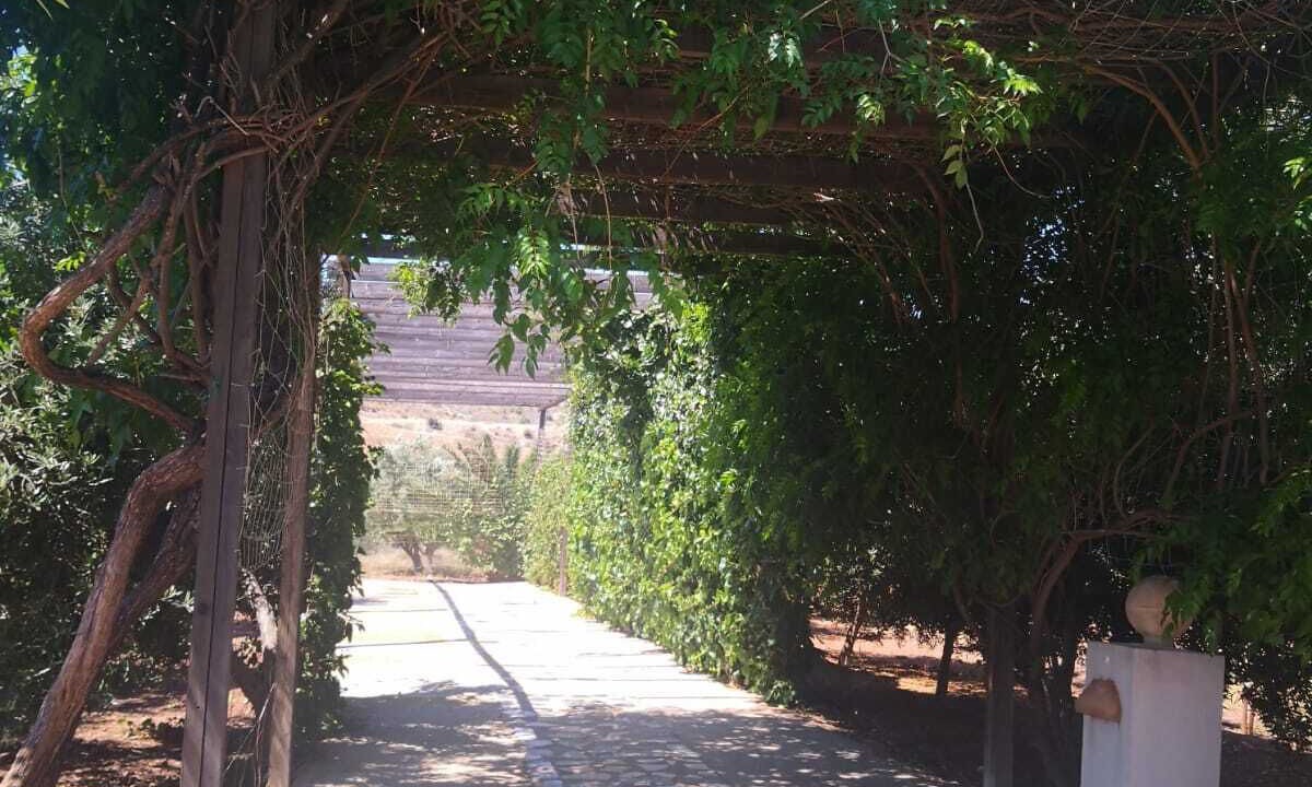 Photo of Outdoor in El Pozo de los Frailes