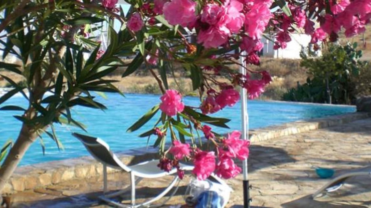 Photo of Outdoor in El Pozo de los Frailes