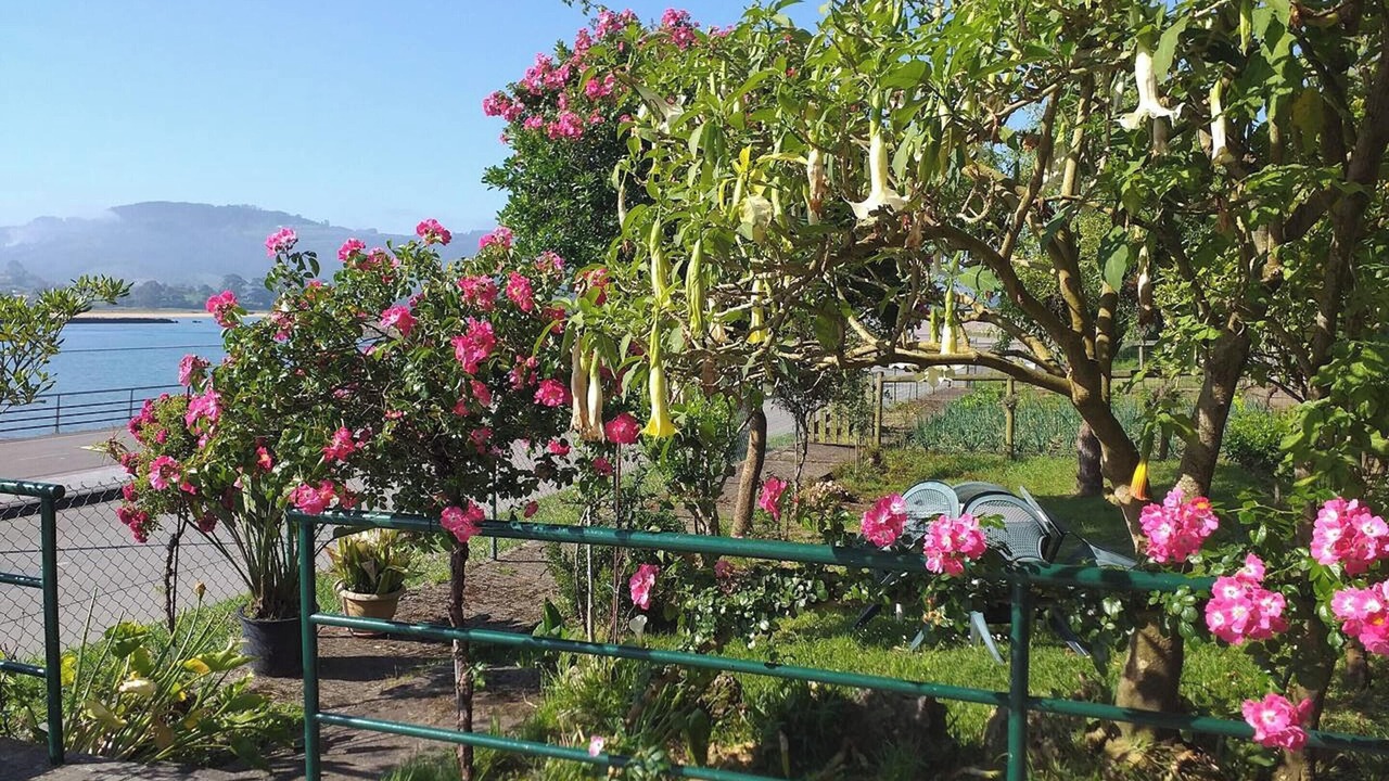 Photo of Outdoor in Tornon