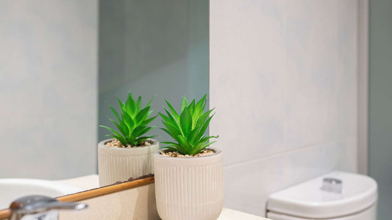 Photo of Bathroom in Sant Antoni de Calonge