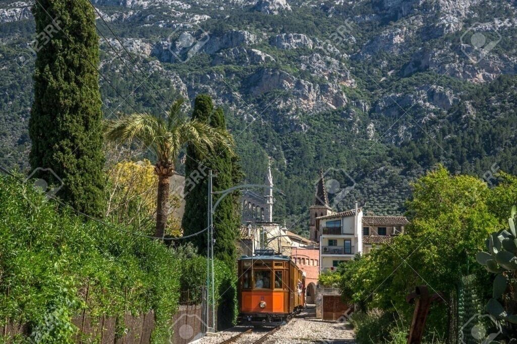 Photo of Outdoor in Puerto de Soller