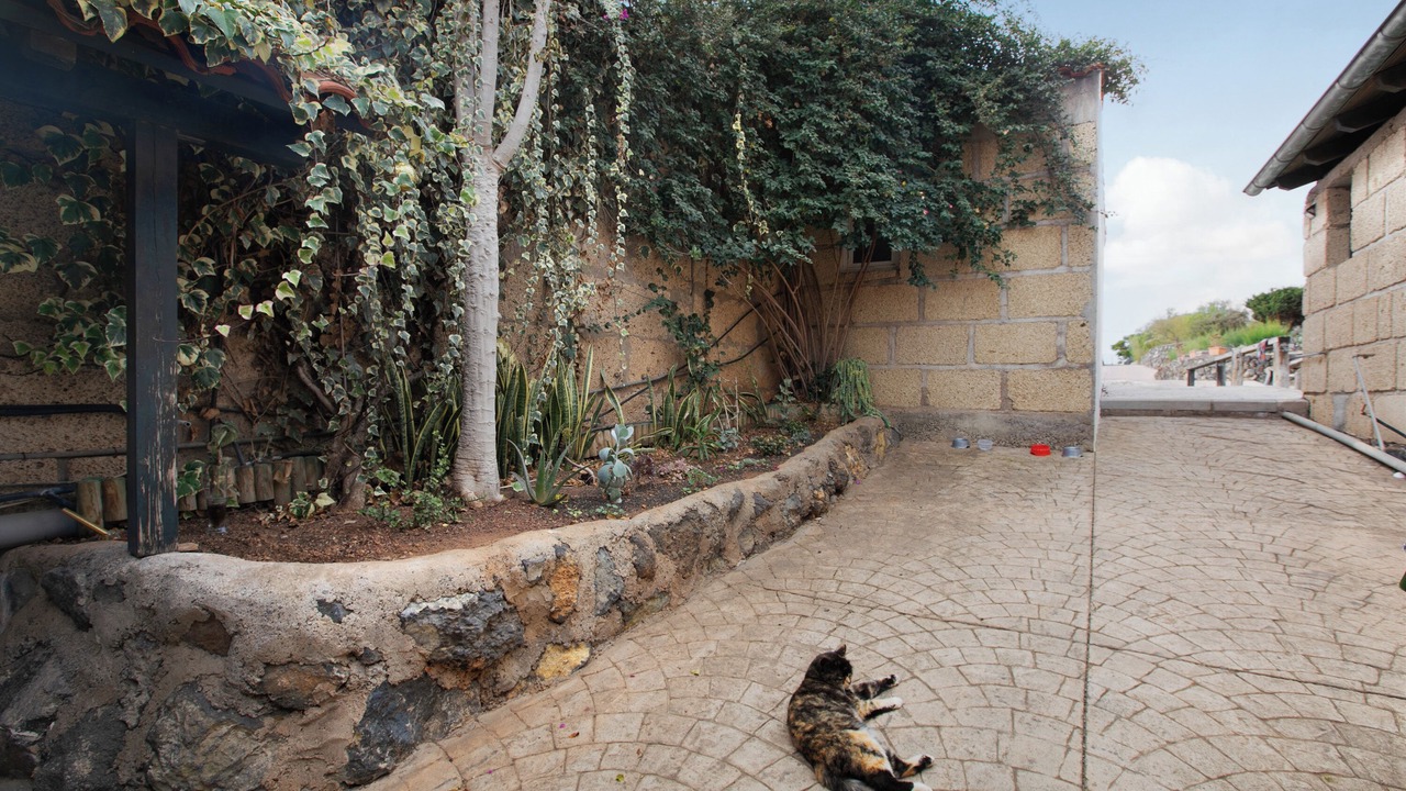 Photo of Outdoor in Granadilla de Abona