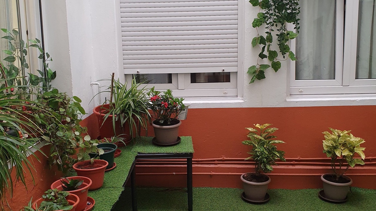 Photo of Outdoor in Unquera