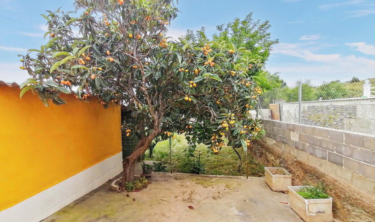 Photo of Outdoor in Lliria
