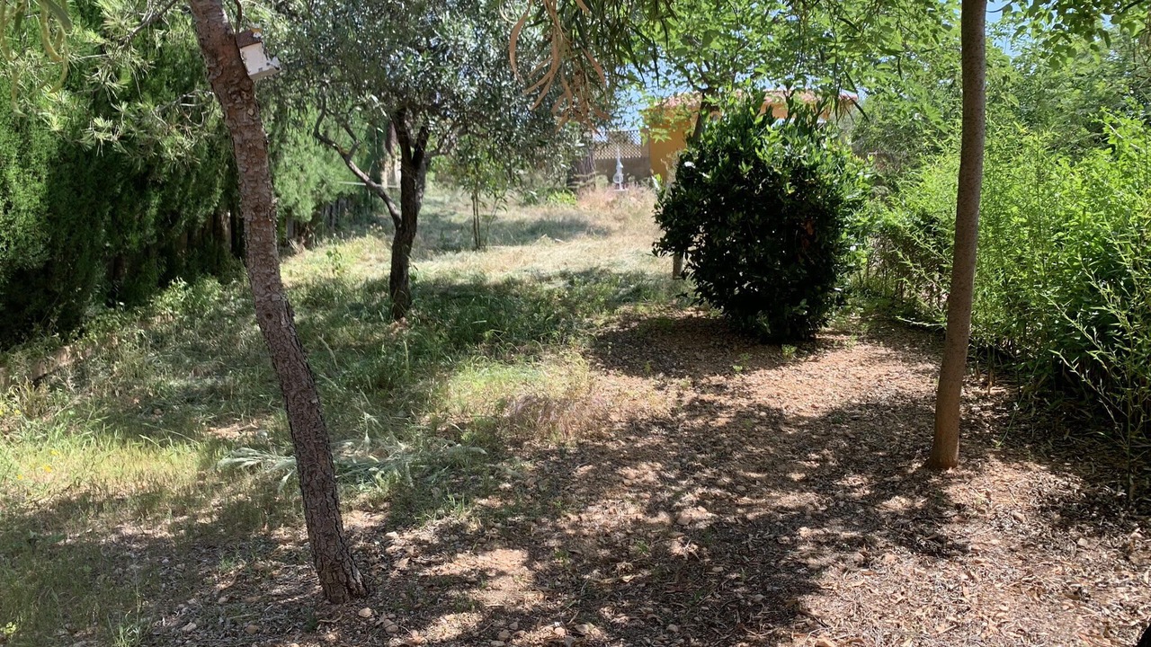 Photo of Outdoor in Lliria