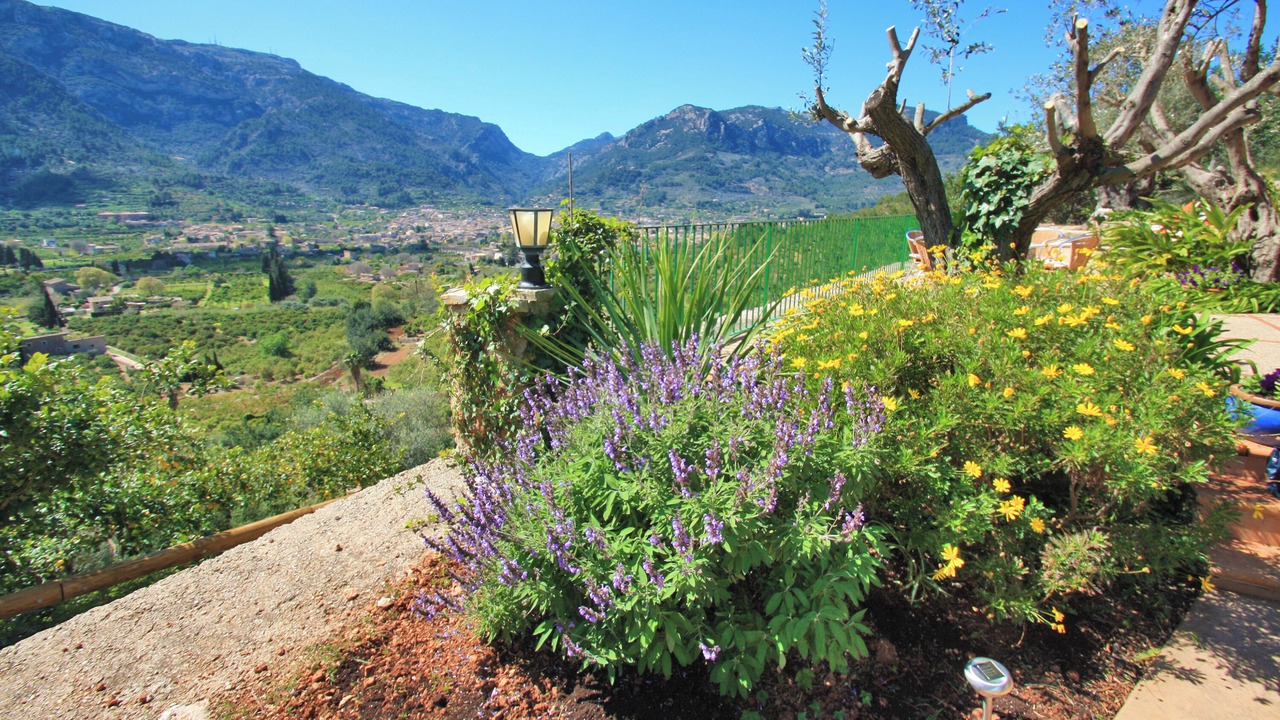 Photo of Outdoor in Biniaraix