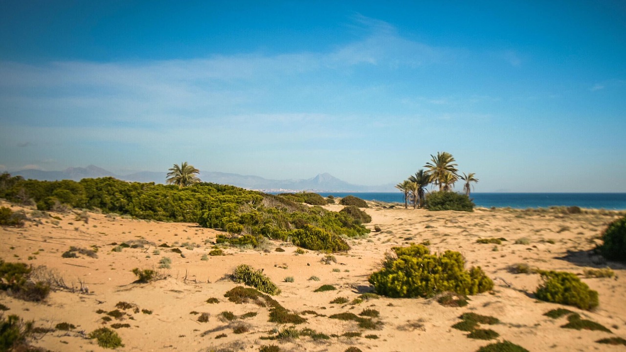 Photo of Others in Santa Pola