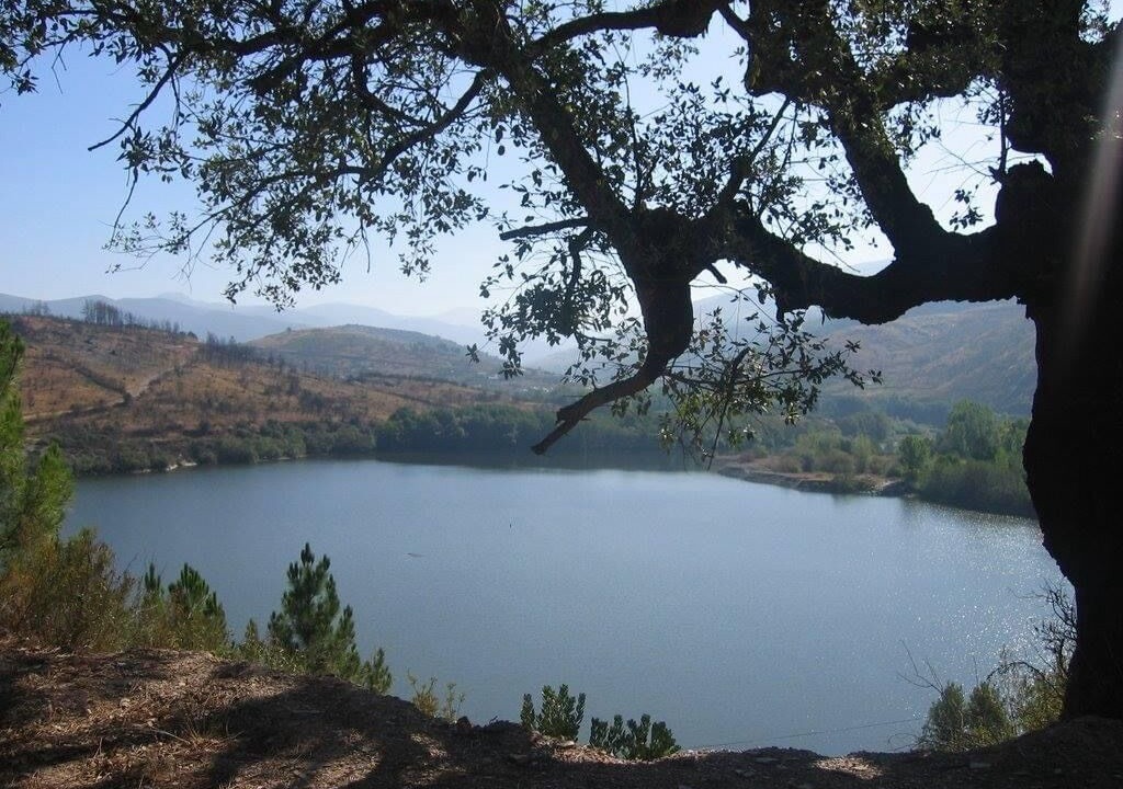 Photo of Others in Carballeda de Valdeorras