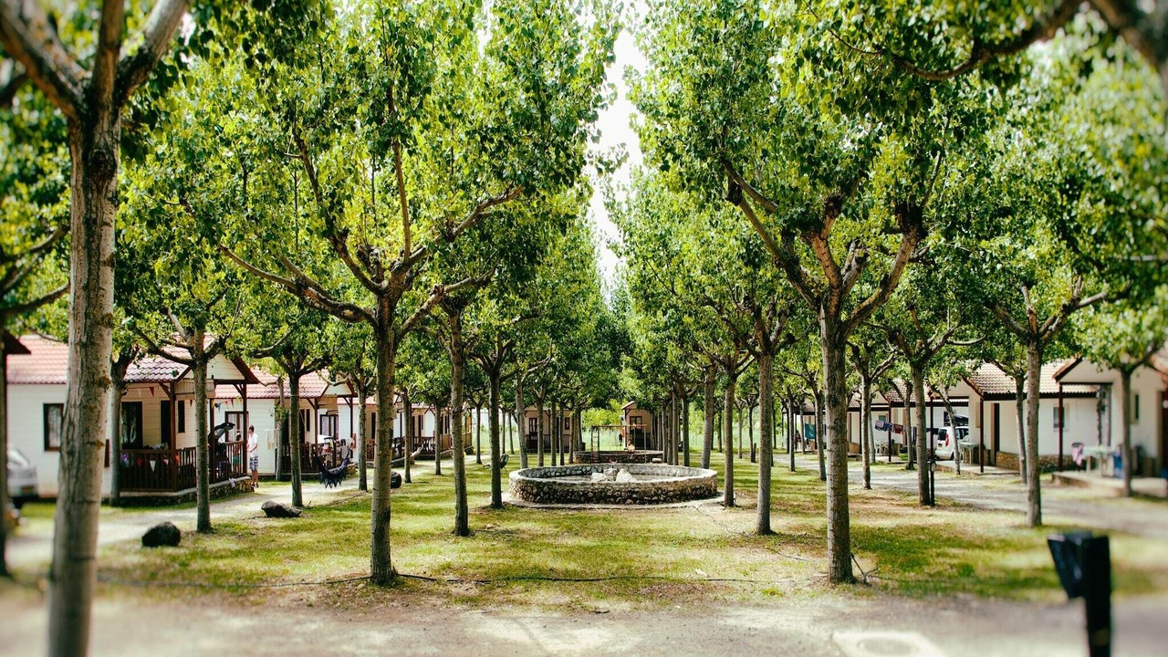 Photo of Outdoor in La Puebla de Roda