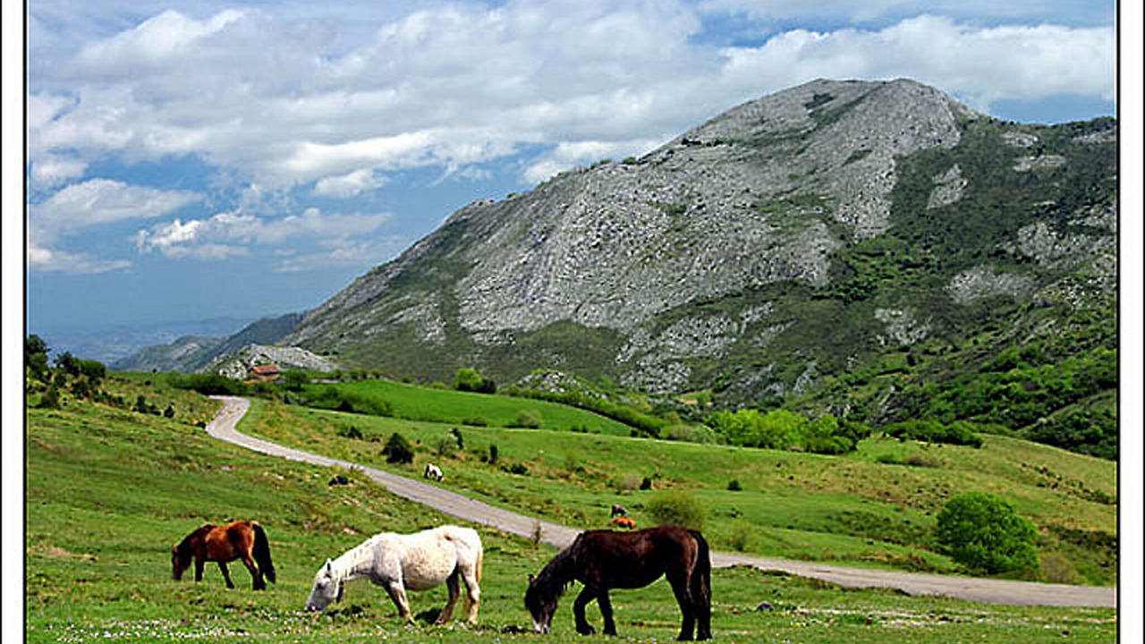 Photo of Outdoor in Paramo