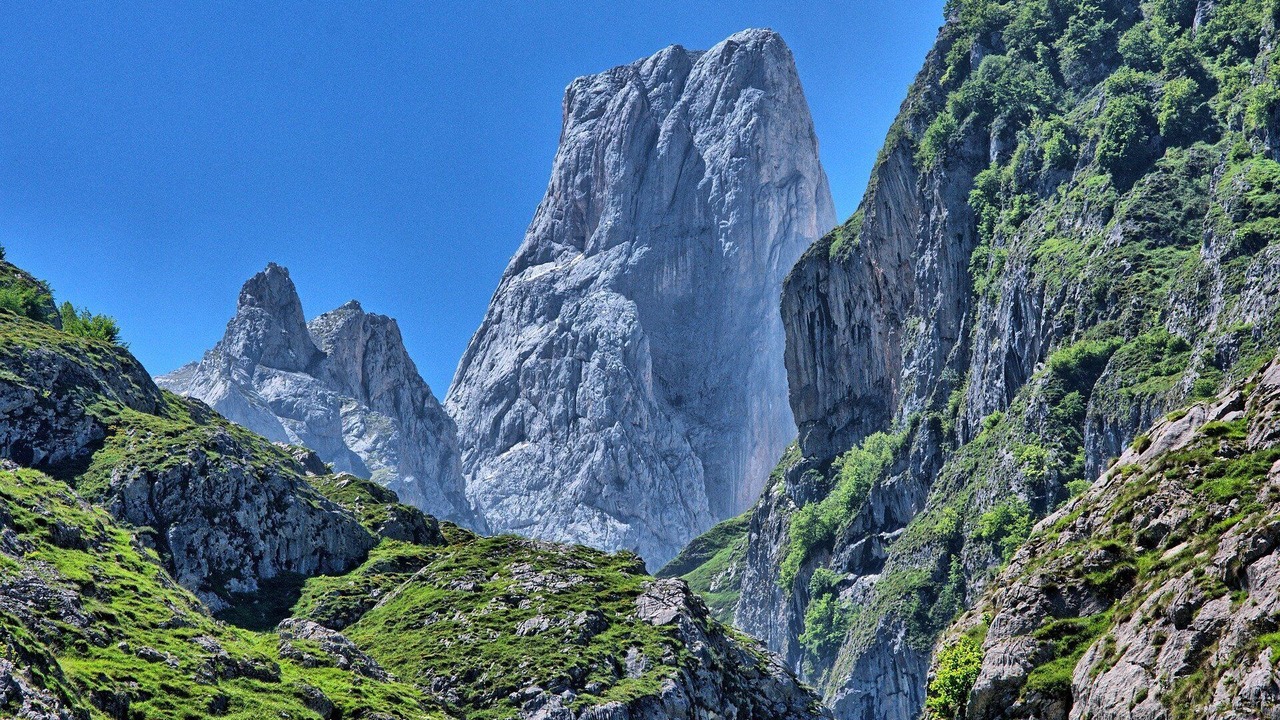 Photo of Outdoor in Paramo