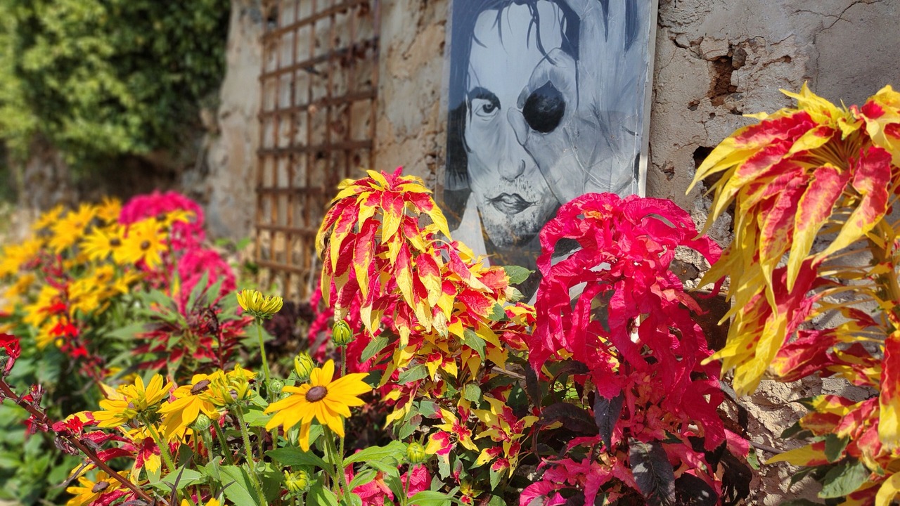 Photo of Others in San Juan de Parres