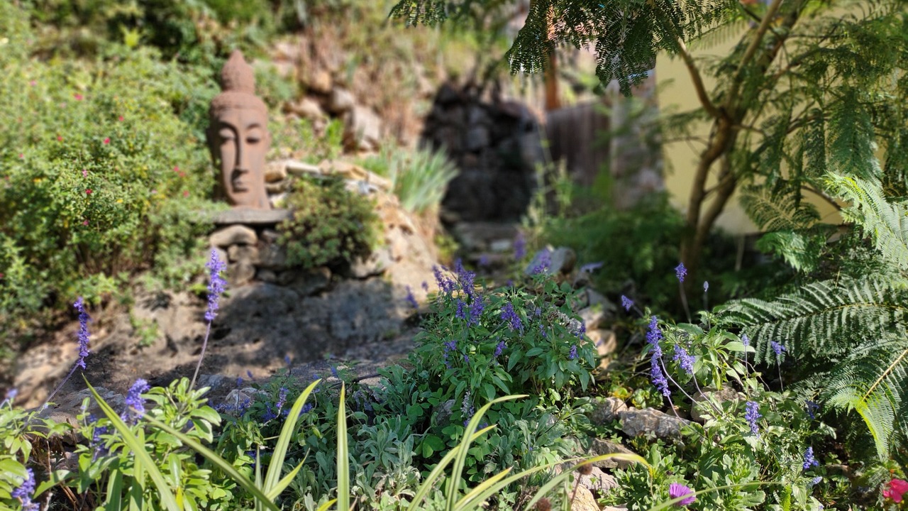 Photo of Outdoor in San Juan de Parres