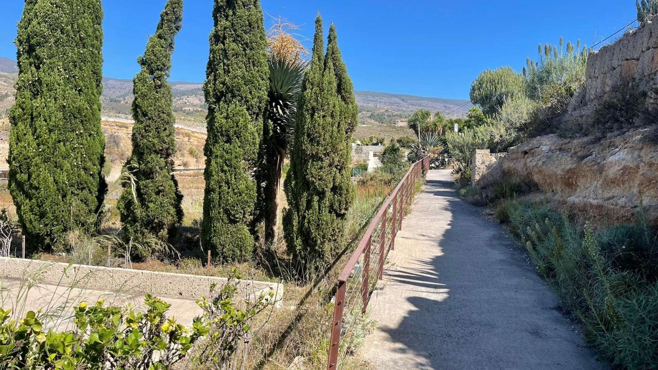 Photo of Outdoor in Arico