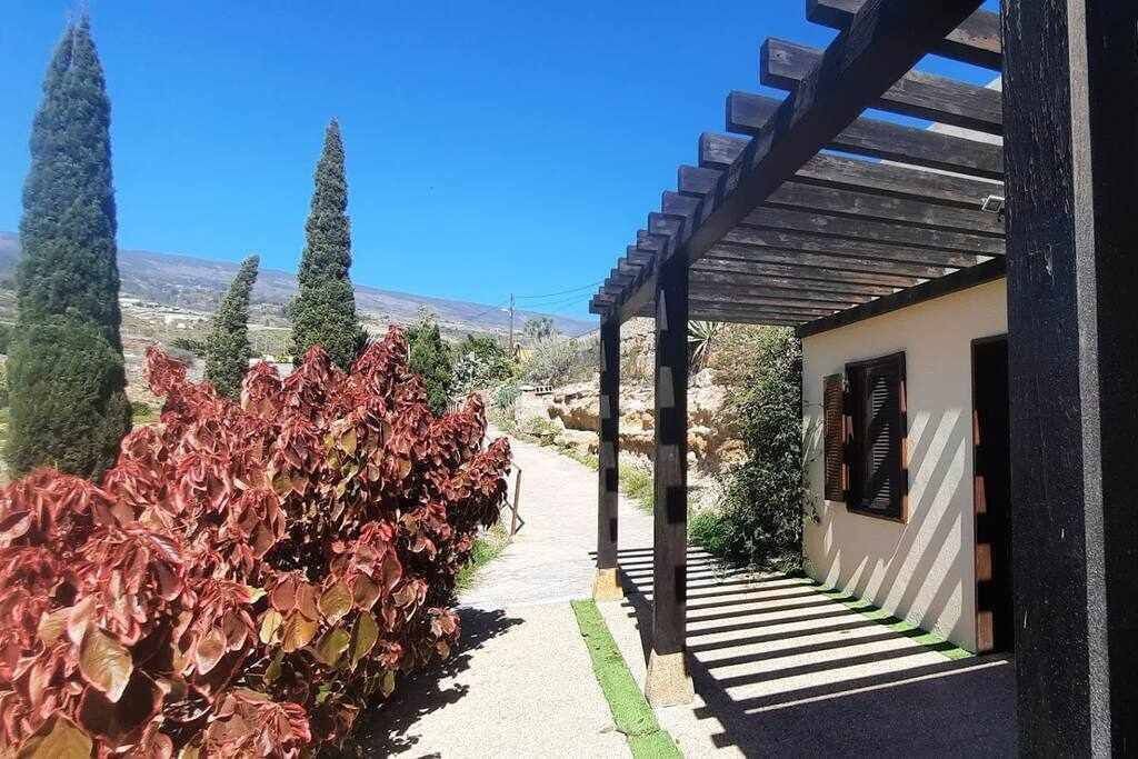 Photo of Outdoor in Arico