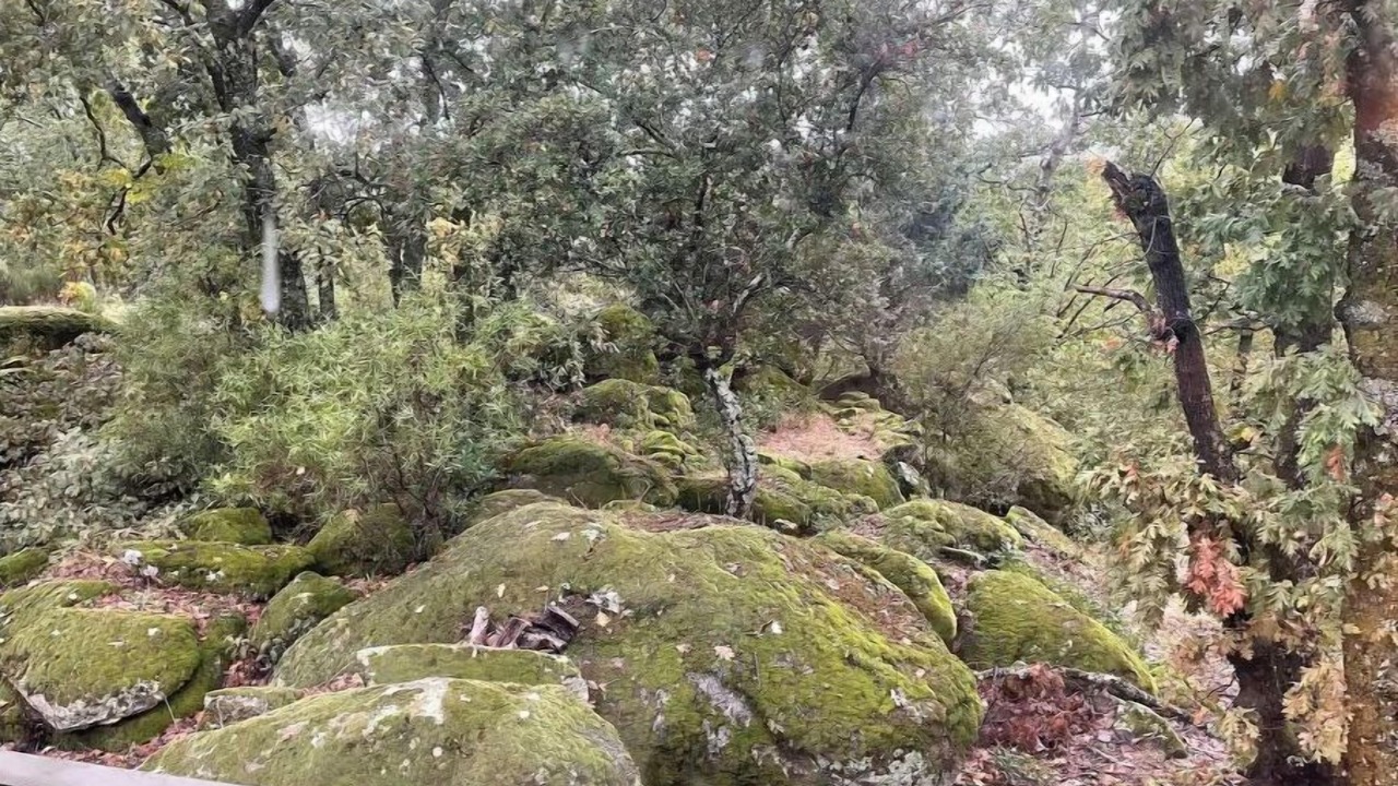 Photo of Others in Valverde de la Vera