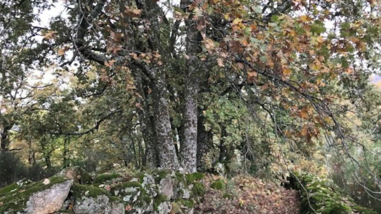 Photo of Outdoor in Valverde de la Vera