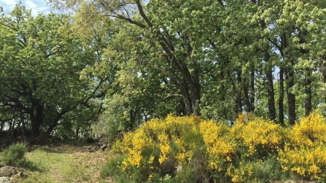 Photo of Outdoor in Valverde de la Vera