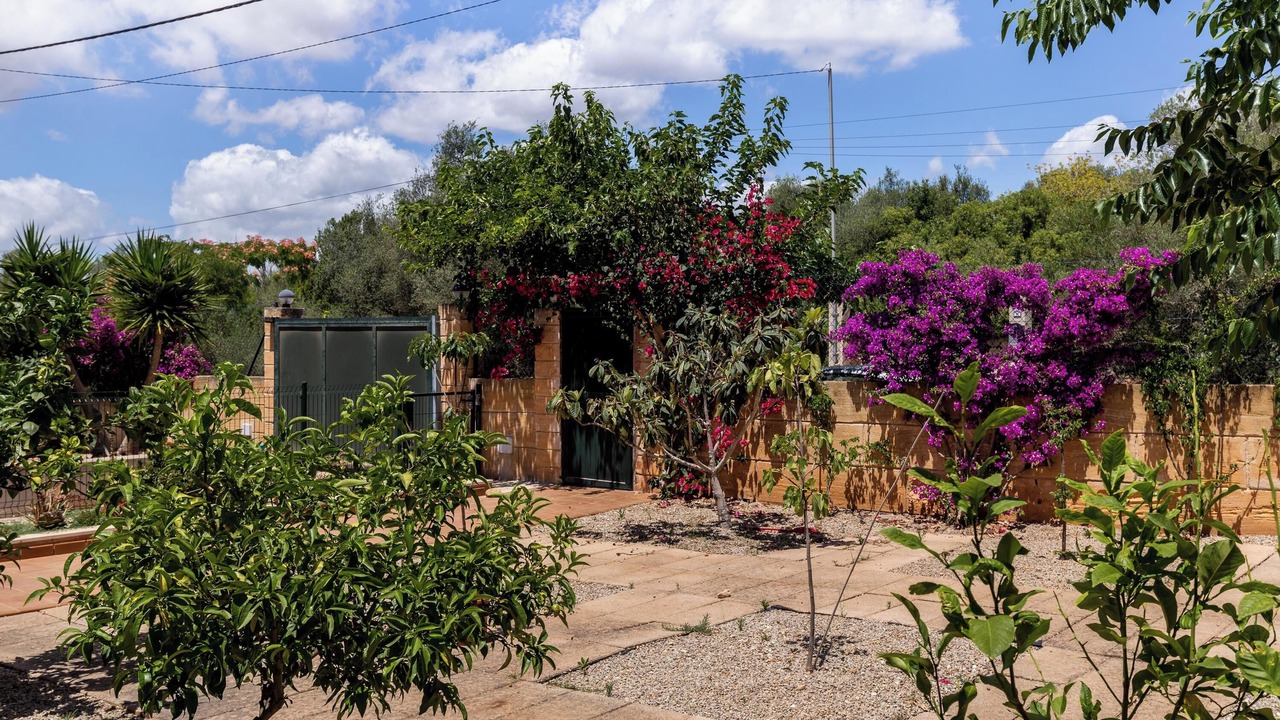Photo of Outdoor in Sa Cabaneta