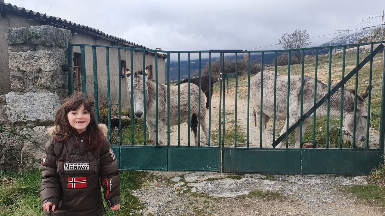 Photo of Others in Cercedilla