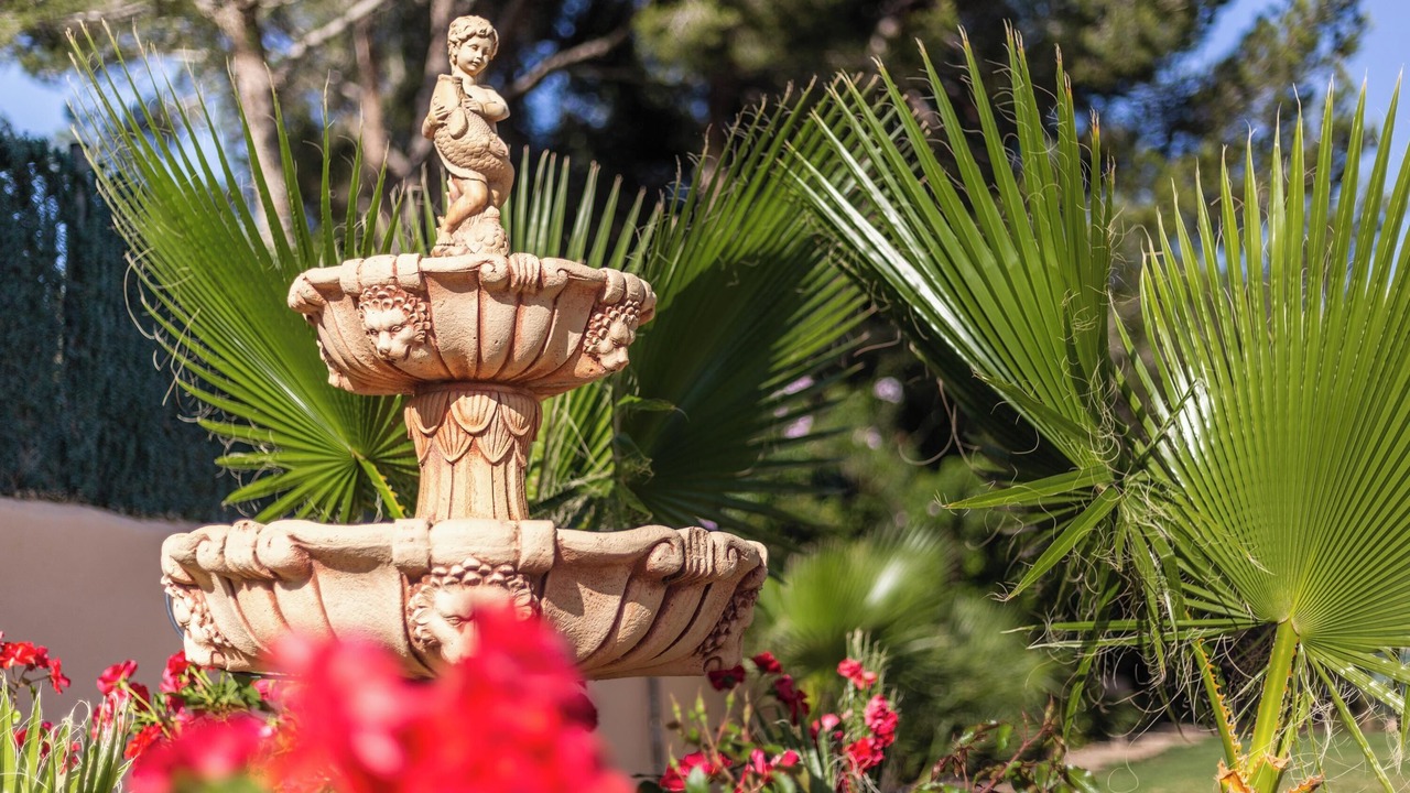 Photo of Outdoor in Sol de Mallorca