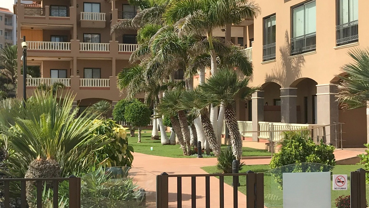 Photo of Outdoor in San Miguel de Abona