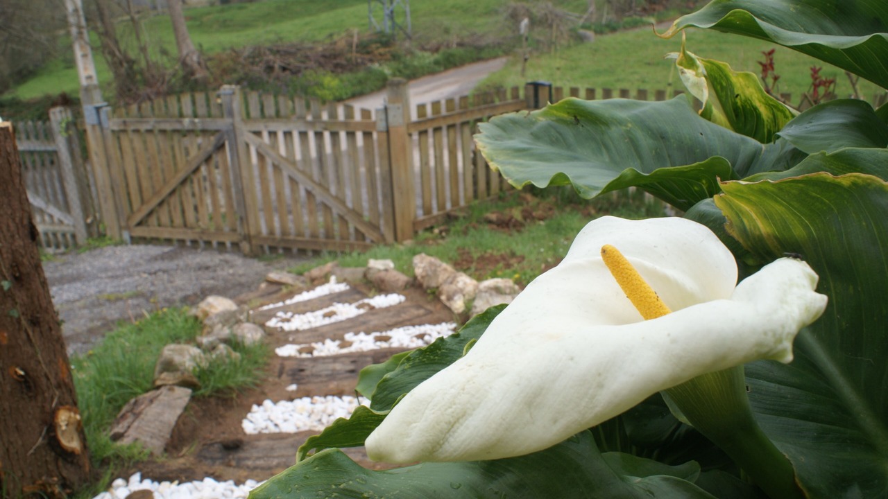 Photo of Outdoor in Soto de las Duenas