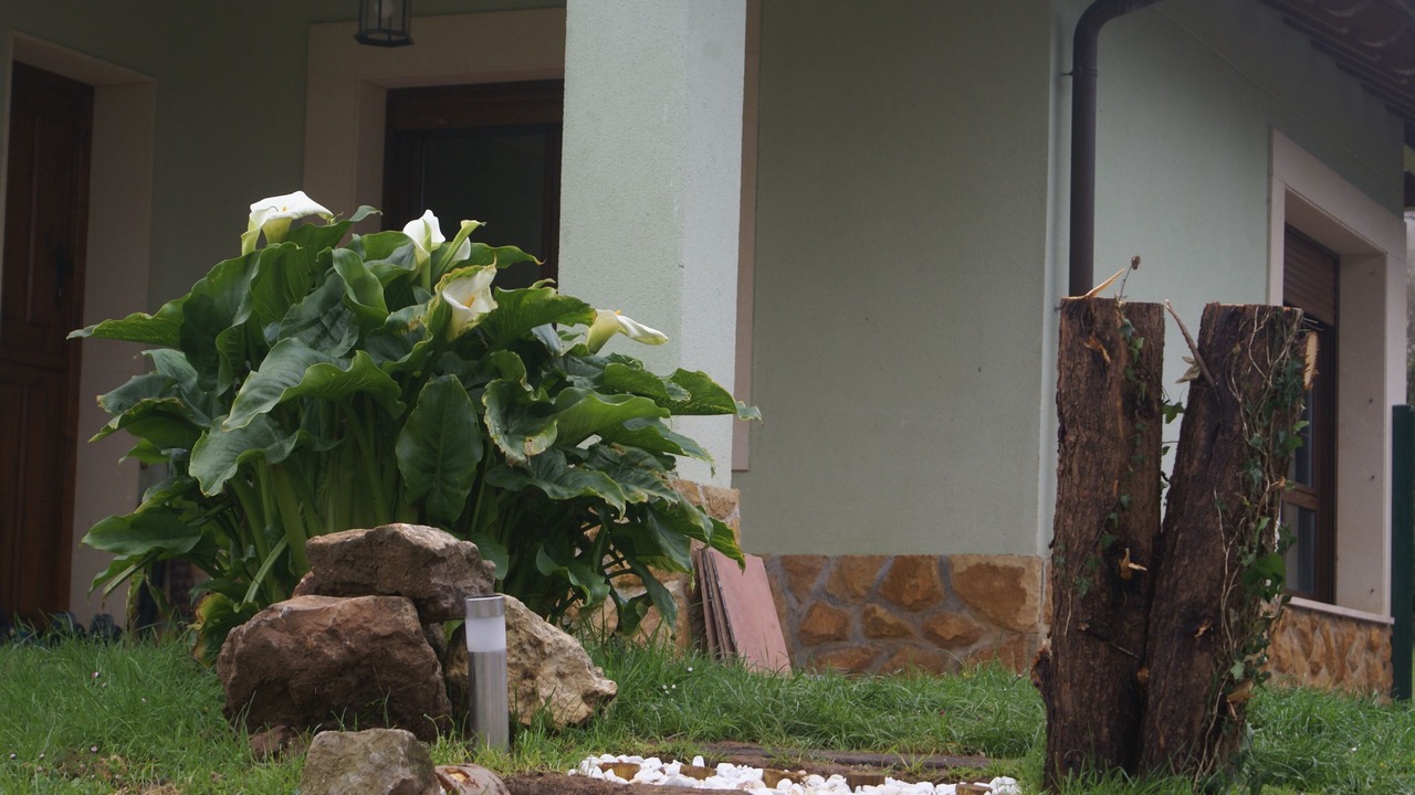 Photo of Outdoor in Soto de las Duenas