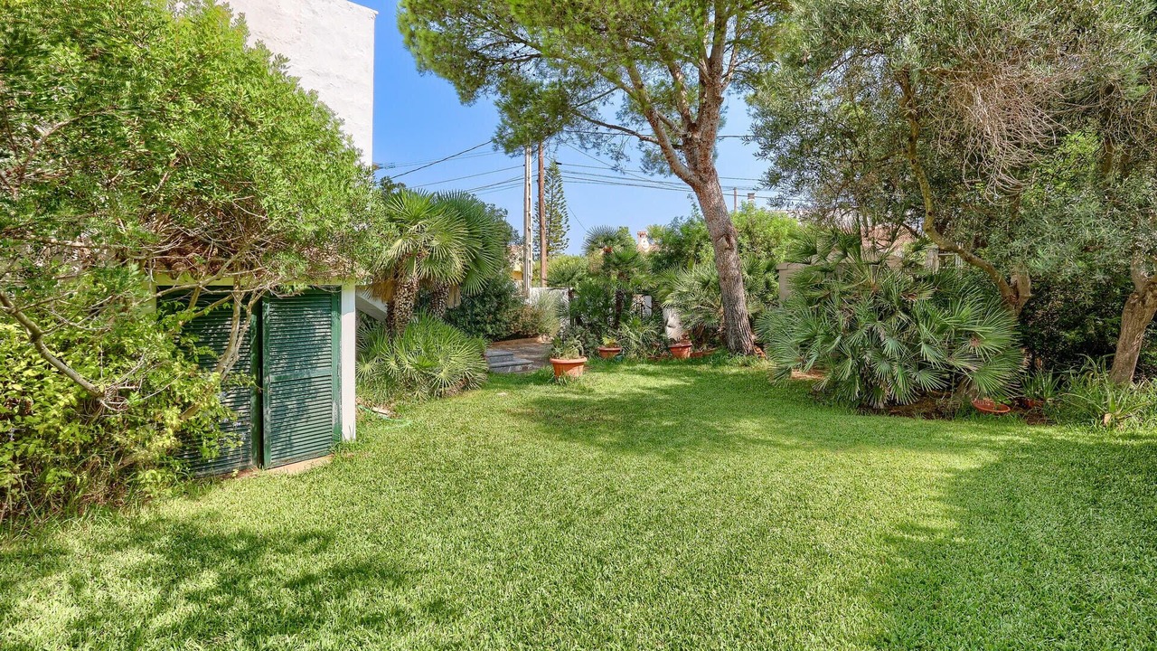 Photo of Outdoor in Son Baulo