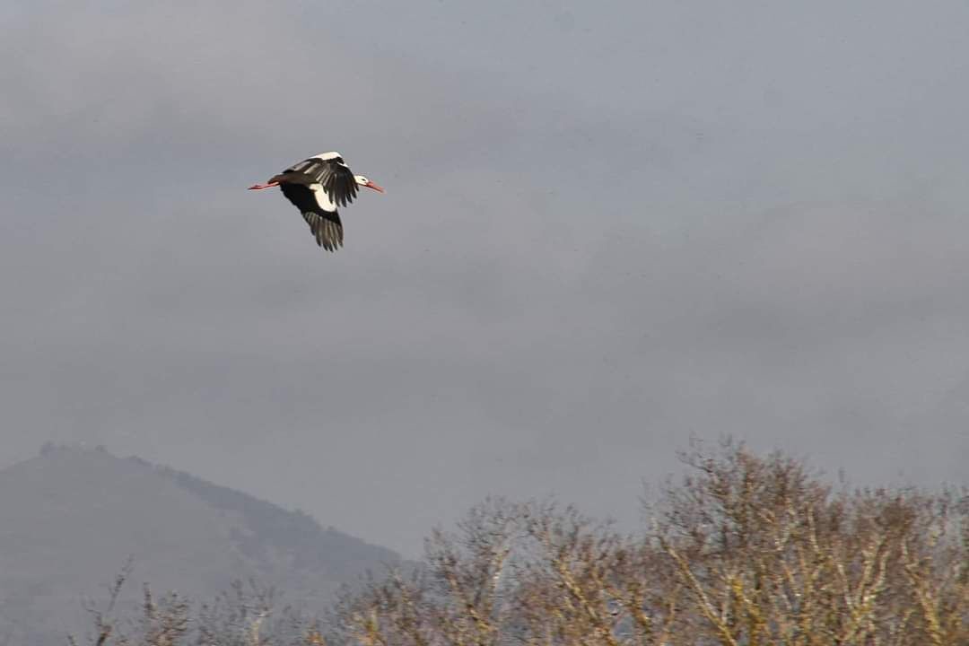 Photo of Others in Palau-Saverdera