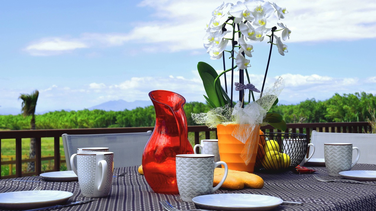 Photo of Outdoor in Palau-Saverdera