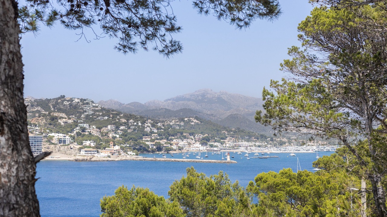 Photo of Others in Port d'Andraitx