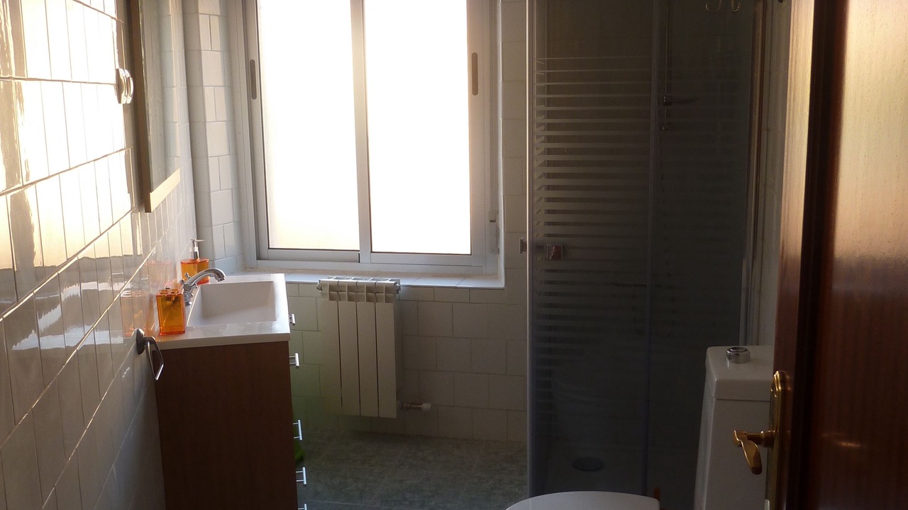 Photo of Bathroom in Aldeadavila de la Ribera