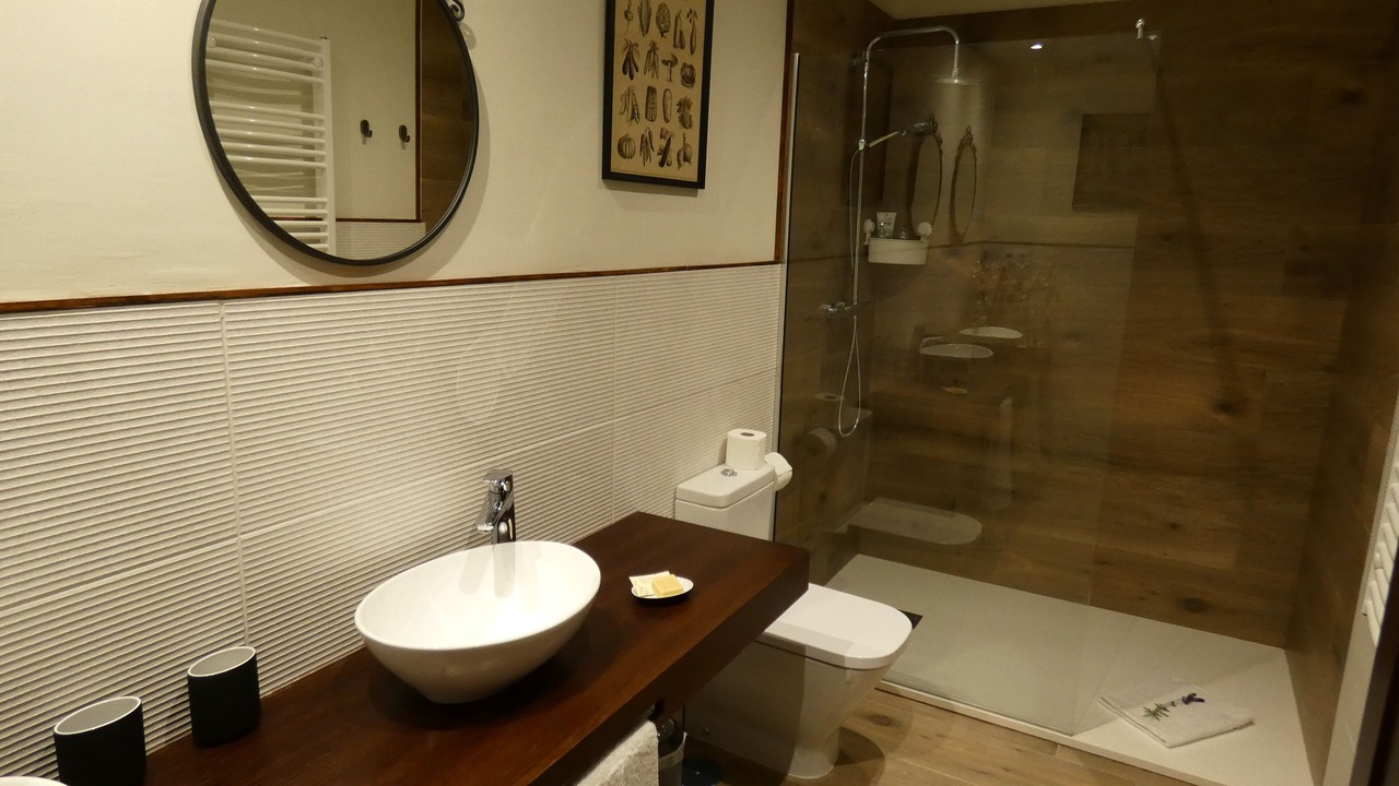 Photo of Bathroom in Robledondo