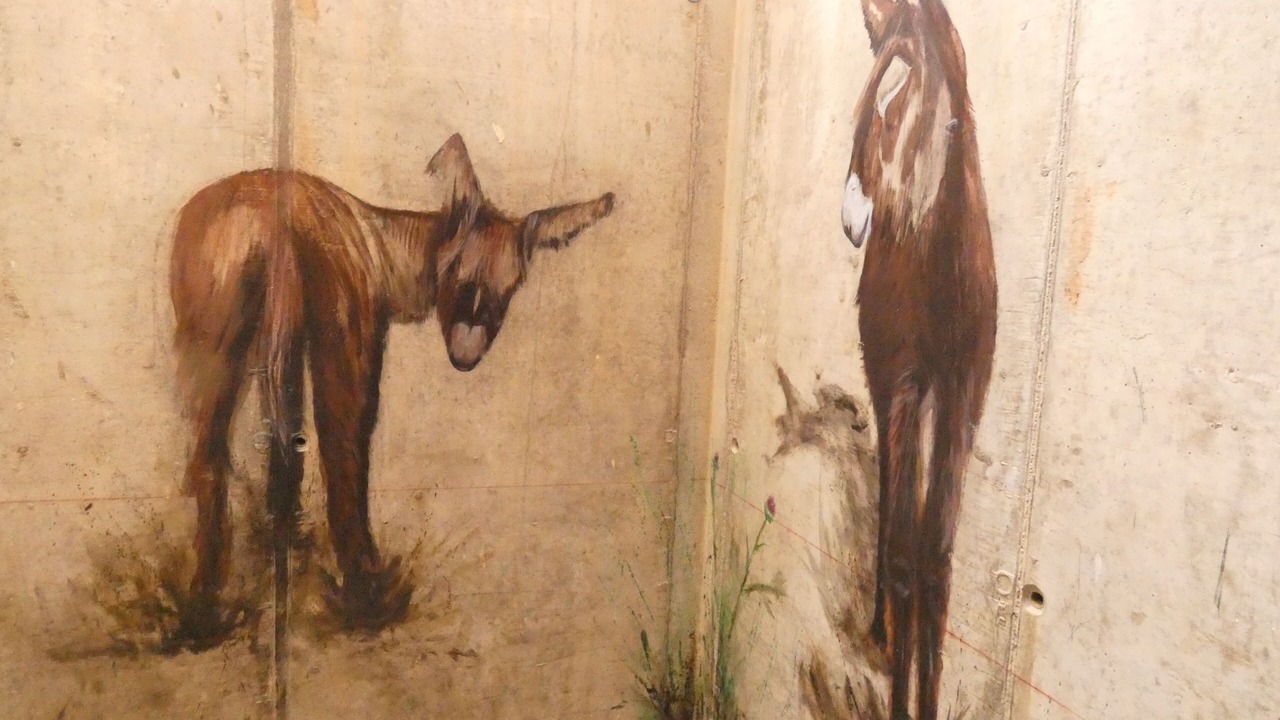 Photo of Others in Robledondo