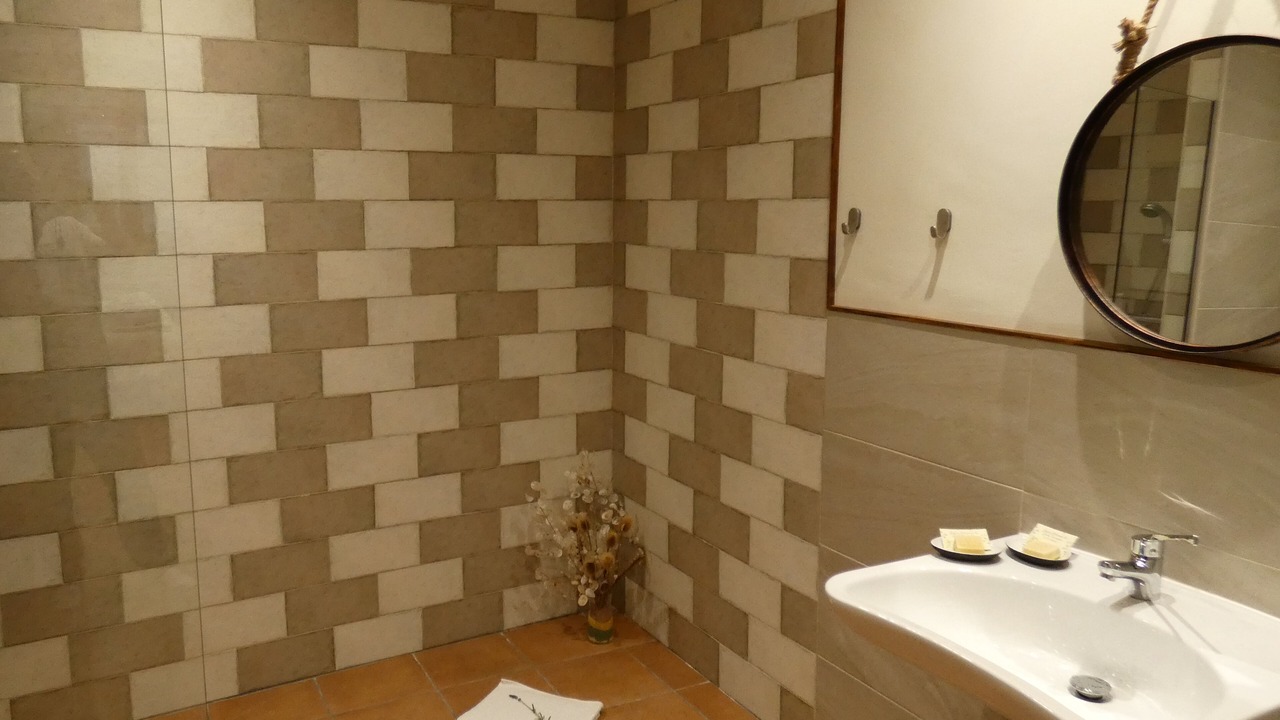 Photo of Bathroom in Robledondo