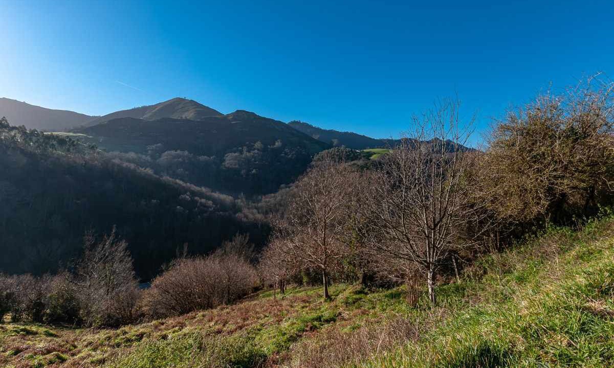 Photo of Outdoor in Ribadesella