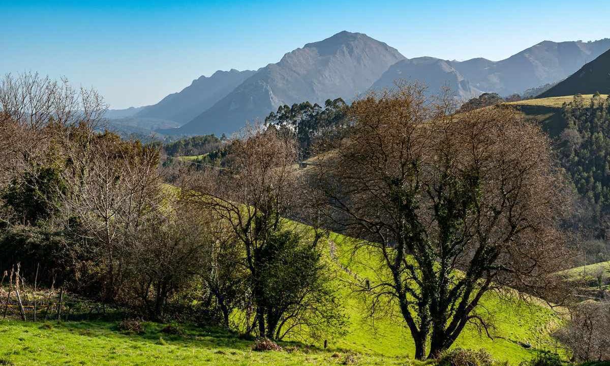 Photo of Outdoor in Ribadesella