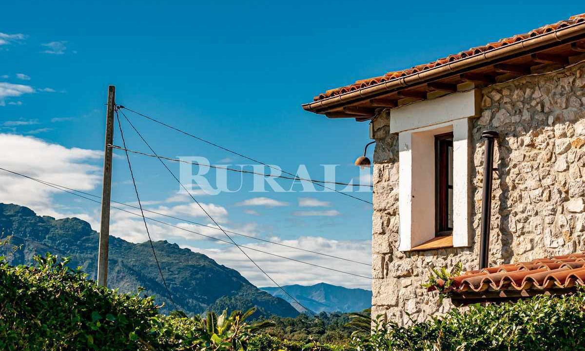 Photo of Outdoor in Ribadesella