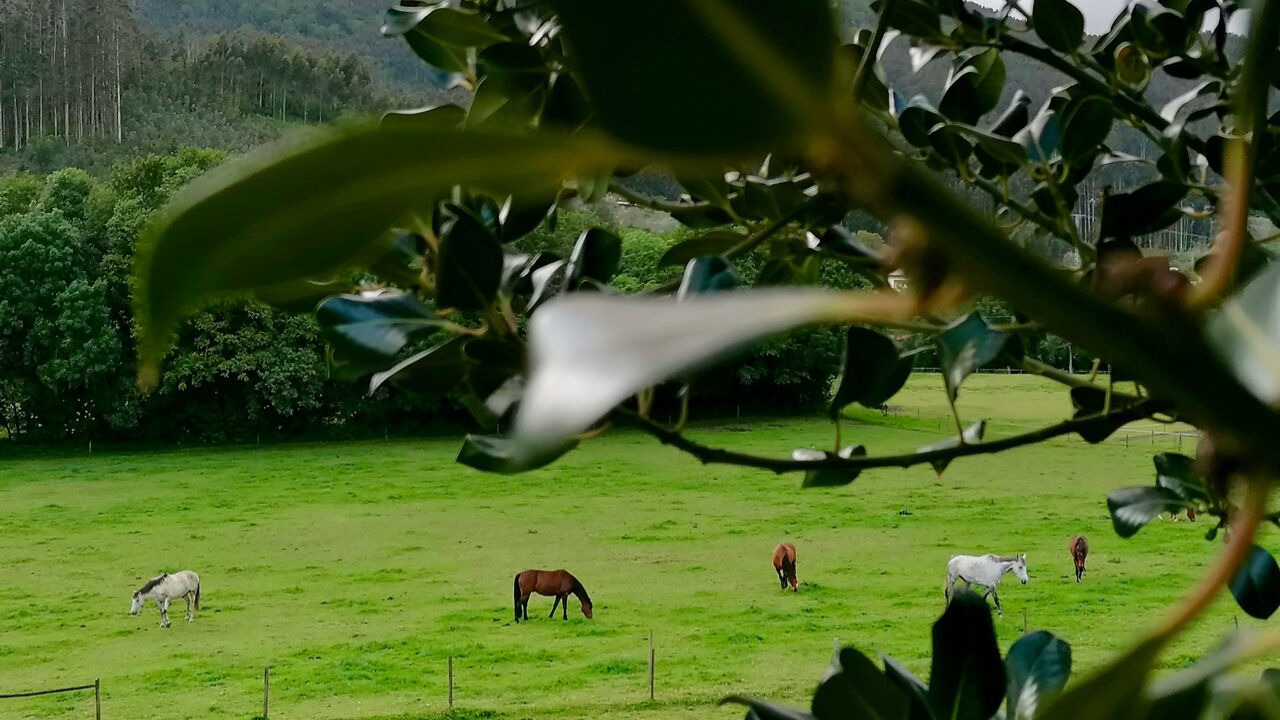 Photo of Outdoor in Mera de arriba