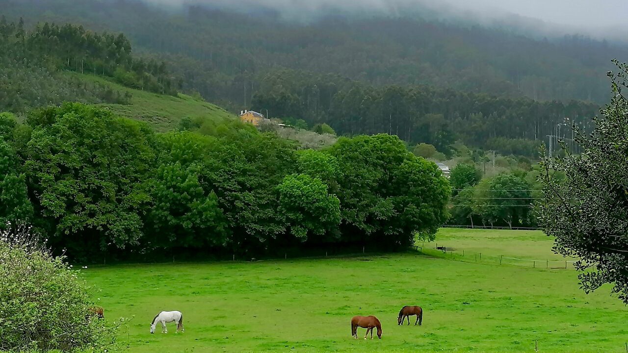 Photo of Outdoor in Mera de arriba