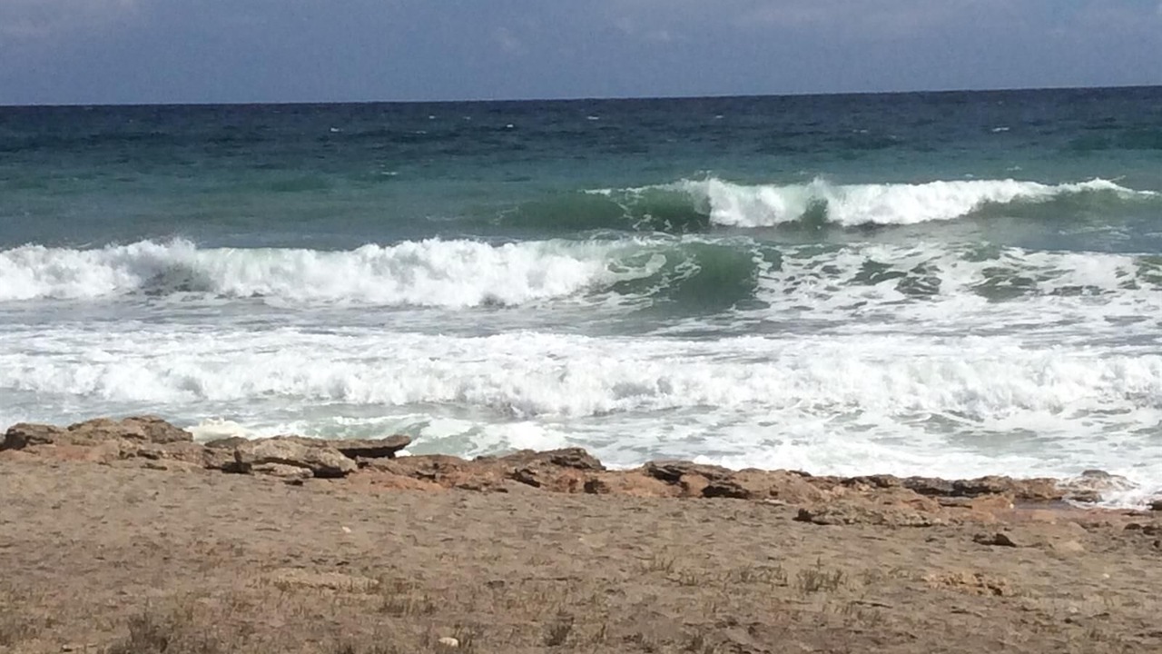 Photo of Others in Puerto Rey
